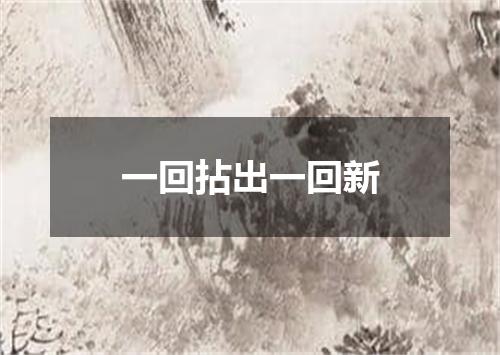 一回拈出一回新