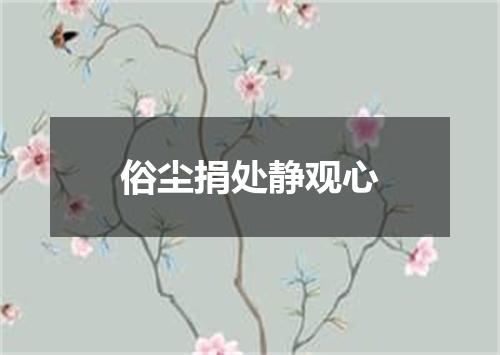俗尘捐处静观心