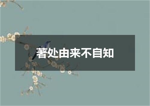 著处由来不自知