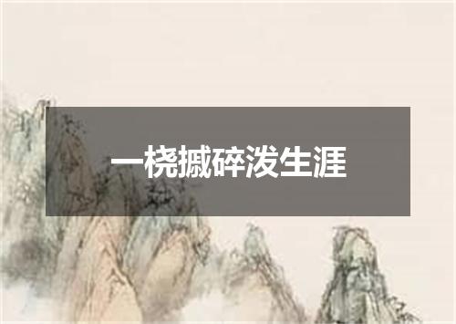 一桡摵碎泼生涯