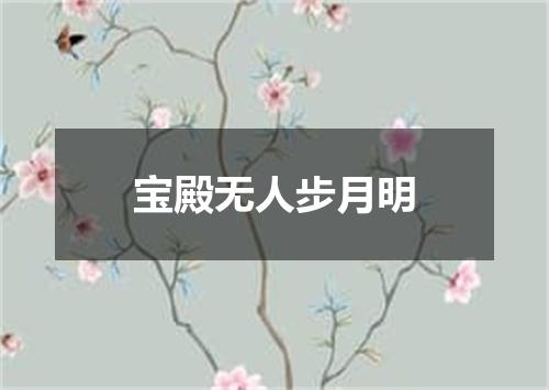 宝殿无人步月明