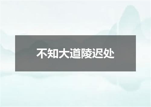 不知大道陵迟处