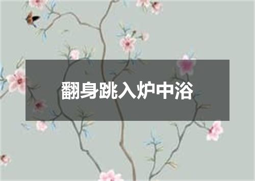 翻身跳入炉中浴