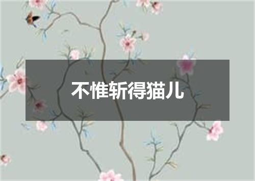 不惟斩得猫儿