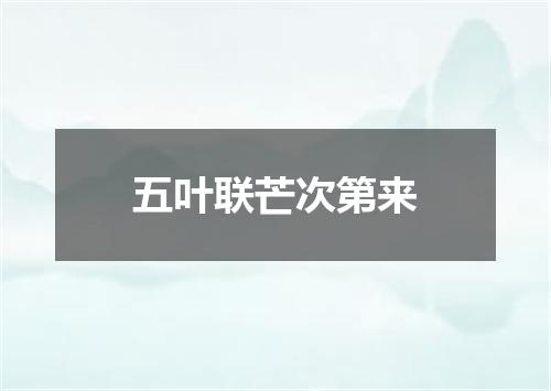 五叶联芒次第来