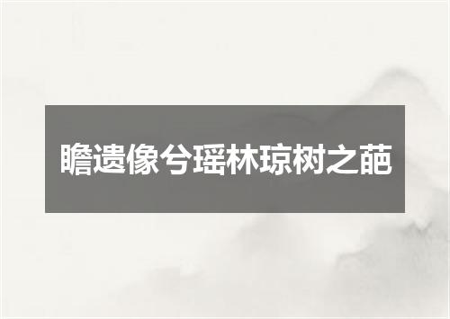 瞻遗像兮瑶林琼树之葩