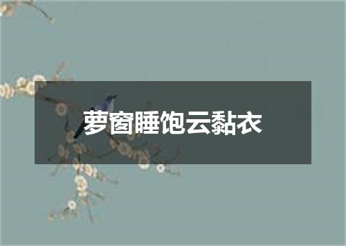萝窗睡饱云黏衣