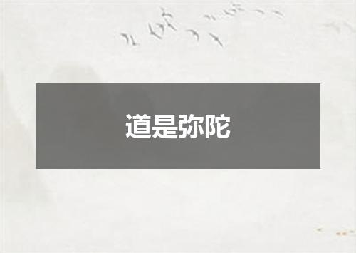 道是弥陀
