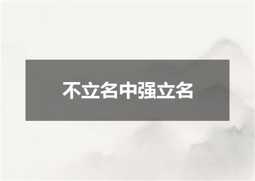不立名中强立名