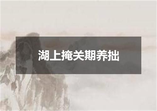 湖上掩关期养拙