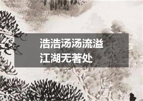 浩浩汤汤流溢江湖无著处