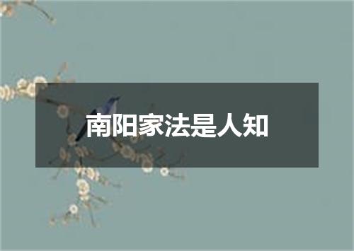 南阳家法是人知