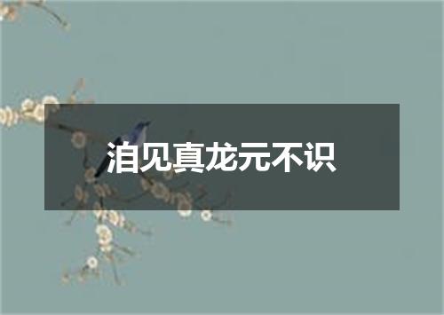 洎见真龙元不识