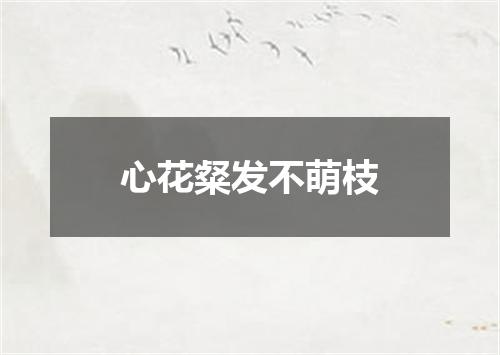心花粲发不萌枝