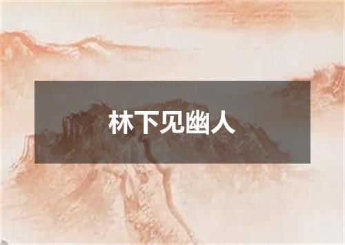 林下见幽人
