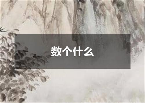 数个什么