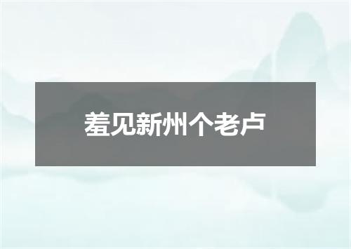 羞见新州个老卢