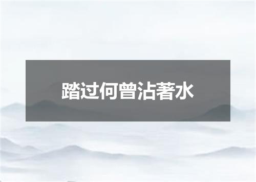 踏过何曾沾著水