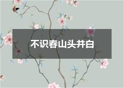 不识春山头并白