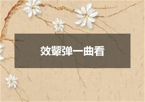 效颦弹一曲看