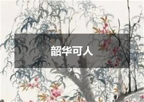 韶华可人