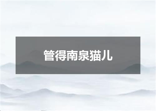管得南泉猫儿