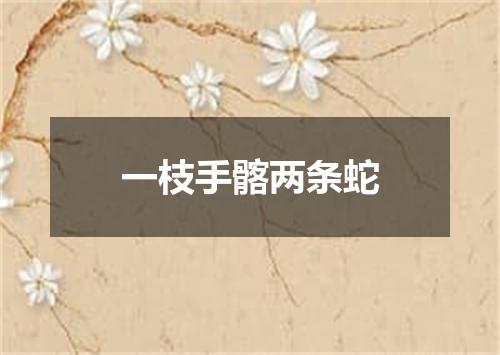 一枝手髂两条蛇