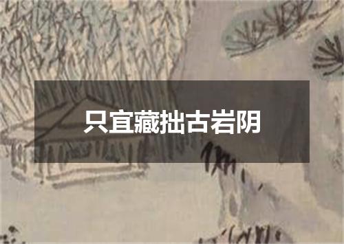 只宜藏拙古岩阴