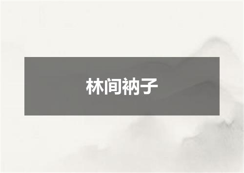 林间衲子