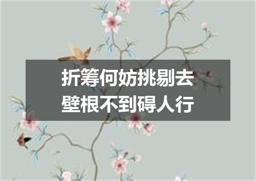 折筹何妨挑剔去壁根不到碍人行