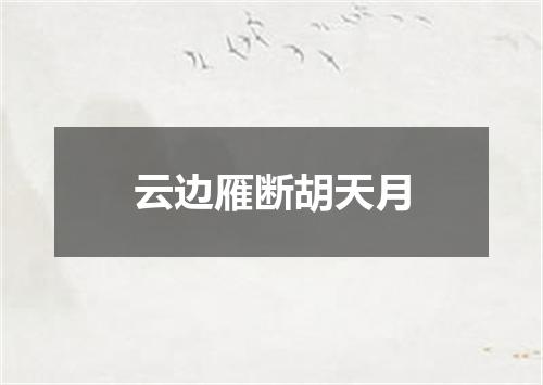 云边雁断胡天月