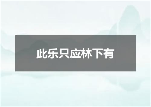 此乐只应林下有