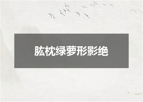 肱枕绿萝形影绝