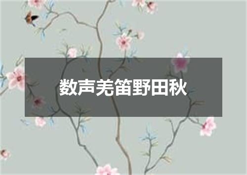 数声羌笛野田秋