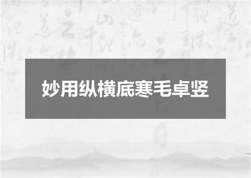 妙用纵横底寒毛卓竖