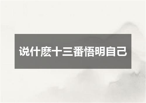 说什麽十三番悟明自己