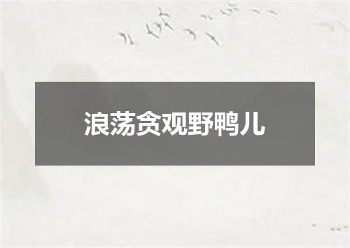 浪荡贪观野鸭儿