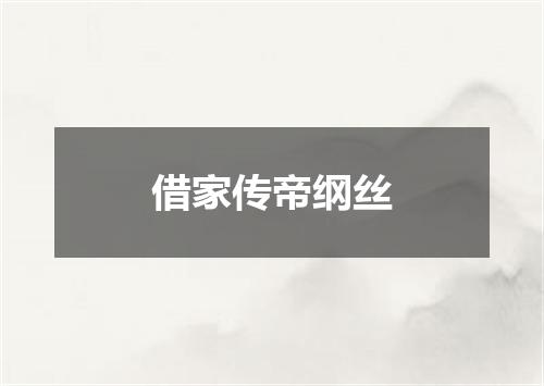 借家传帝纲丝