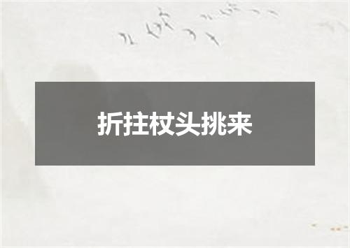 折拄杖头挑来