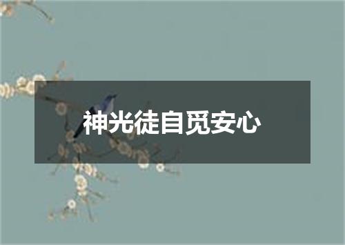 神光徒自觅安心