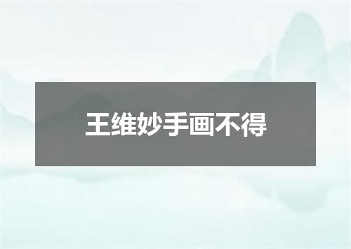 王维妙手画不得