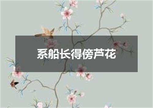 系船长得傍芦花