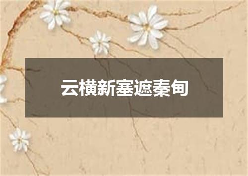 云横新塞遮秦甸