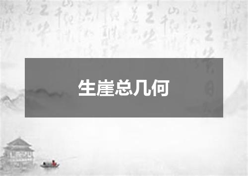生崖总几何