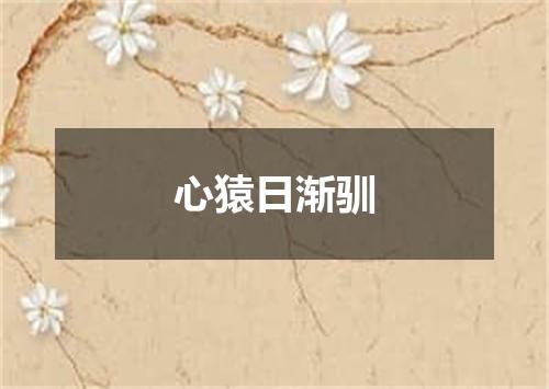 心猿日渐驯