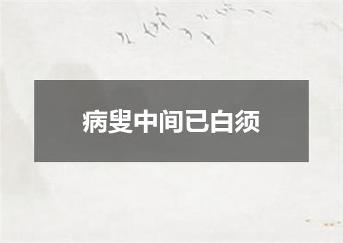 病叟中间已白须
