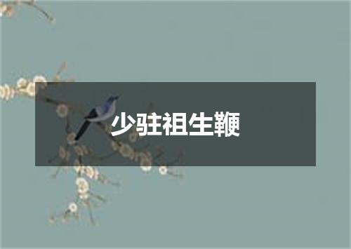 少驻祖生鞭