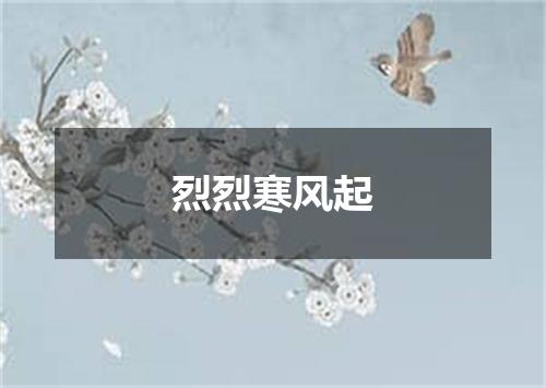 烈烈寒风起