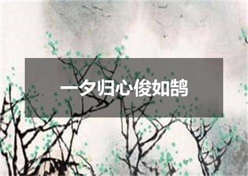 一夕归心俊如鹄