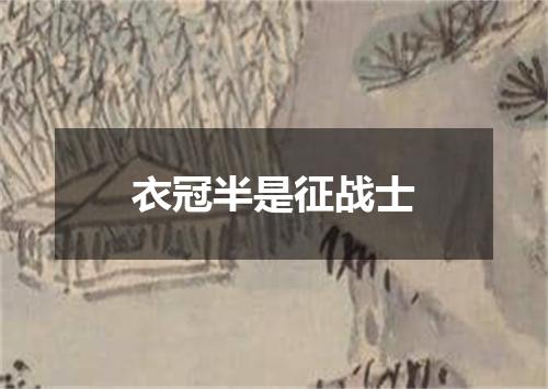 衣冠半是征战士